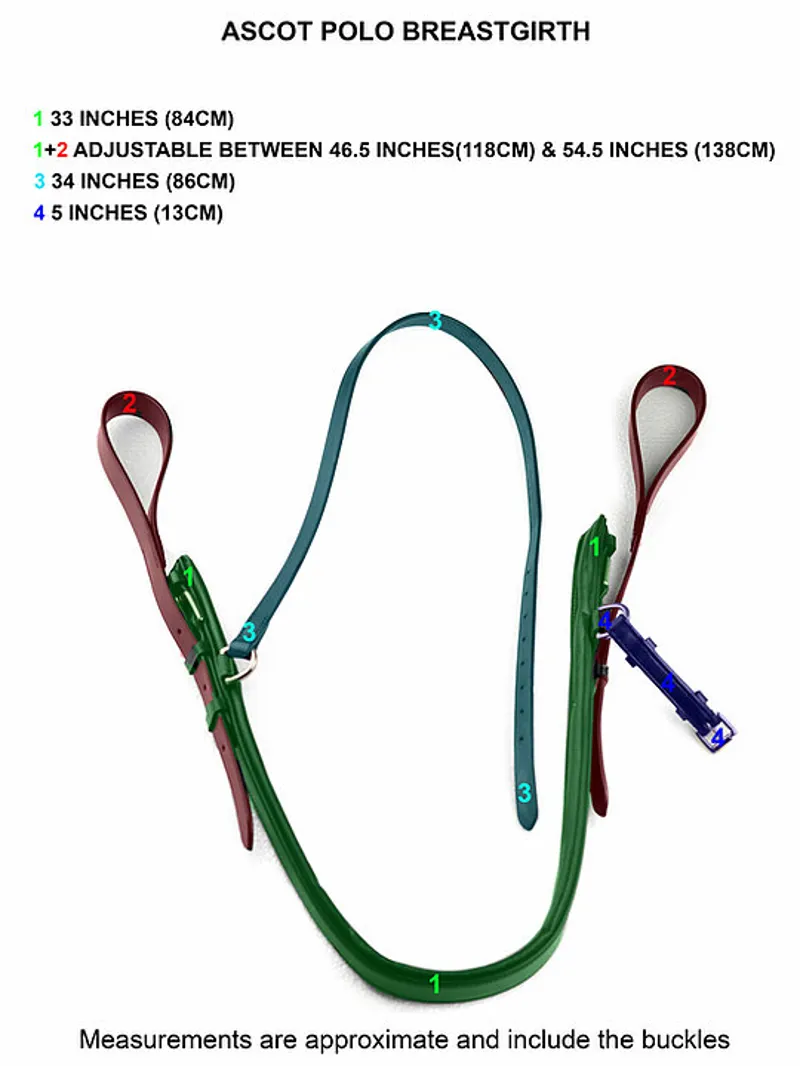 Dever Ascot Polo Padded Leather Breast Girth Brown-1